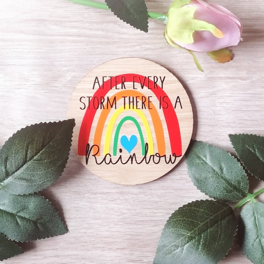 After every storm - rainbow baby -  photo prop disc