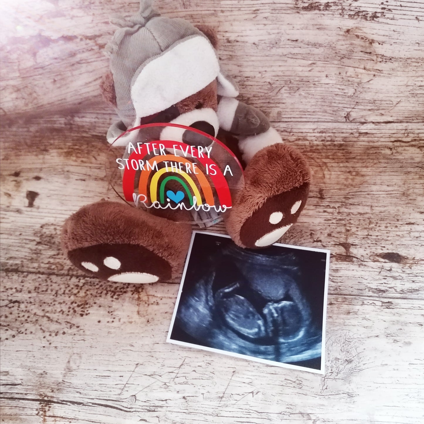 After every storm - rainbow baby -  photo prop disc